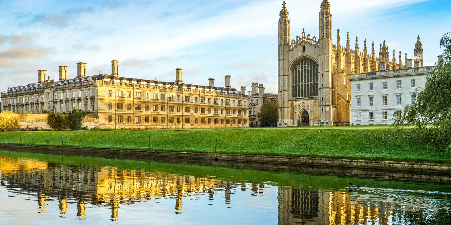University Cambridge, Stenford